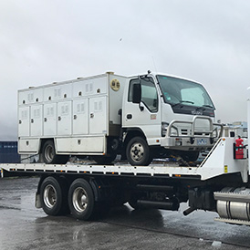 Truck Transport 6